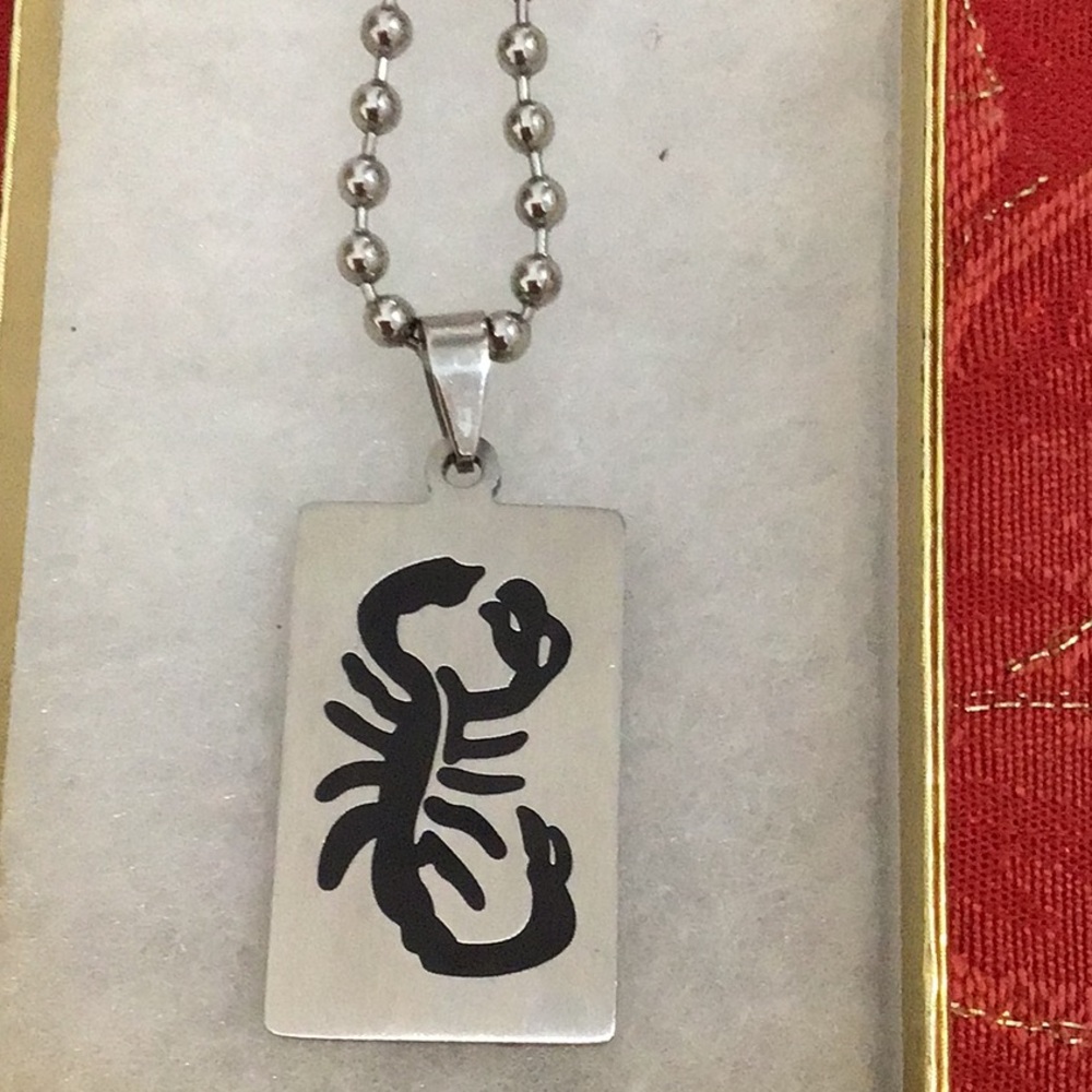 Scorpion Stainless Steel Pendant on Stainless Steel Ball Chain.
